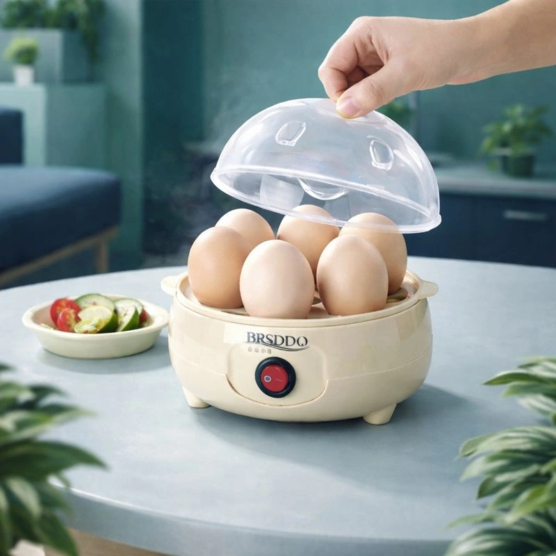 Electric Egg Boiler